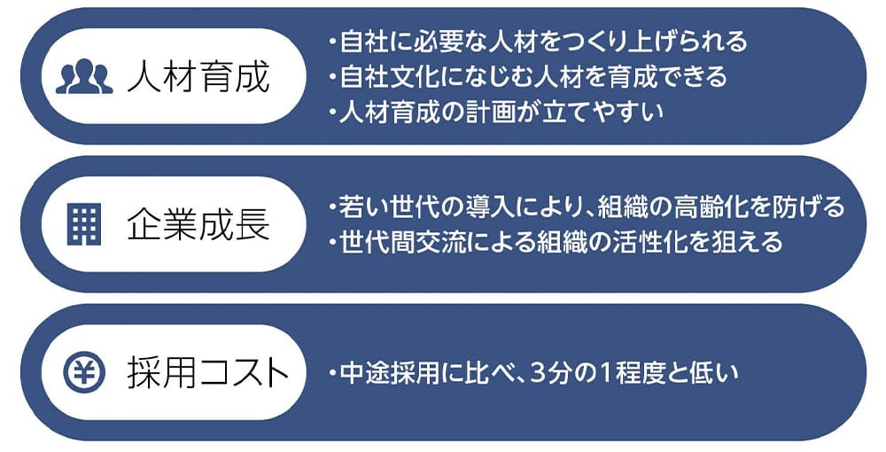人材育成：自社に必要な人材をつくり上げられる・自社文化になじむ人材を育成できる・人材育成の計画が立てやすい 企業成長：若い世代の導入により、組織の高齢化を防げる・世代間交流による組織の活性化を狙える 採用コスト：中途採用に比べ、3分の1程度と低い