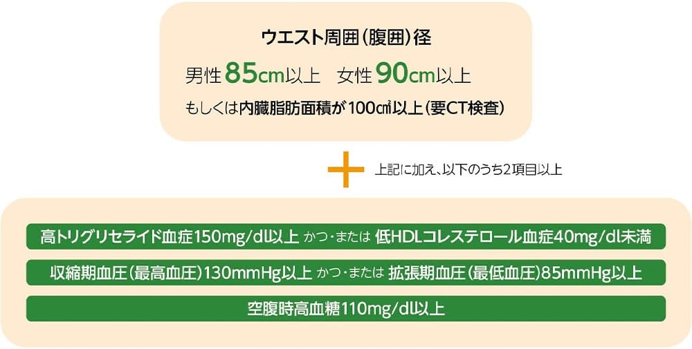 ウエスト周囲（腹囲）径：男性85cm以上 女性90cm以上 もしくは内臓脂肪面積が100㎠以上（要CT検査） ＋ 上記に加え、以下のうち2項目以上 ・高トリグリセライド血症150mg/dl以上かつ·または低HDLコレステロール血症40mg/dl未満 ・収縮期血圧（最高血圧）130mmHg以上かつ・または拡張期血圧（最低血圧）85mmHg以上 ・空腹時血糖110mg/dl以上