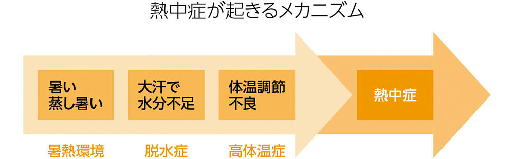 熱中症が起きるメカニズム　暑い蒸し暑い（暑熱環境）大汗で水分不足（脱水症）体温調節不良（高体温症）→熱中症