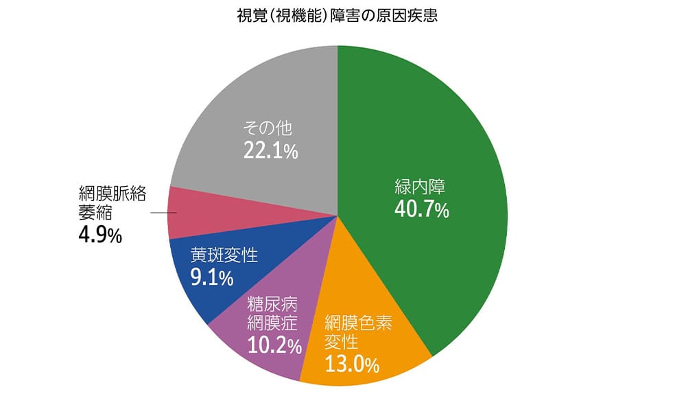 視覚（視機能）障害の原因疾患を示した円グラフで、緑内障が40.7%、網膜色素変性が13.0%、糖尿病網膜症が10.2%、黄斑変性が9.1%、網膜脈絡萎縮が4.9%、その他が22.1%を占めている。