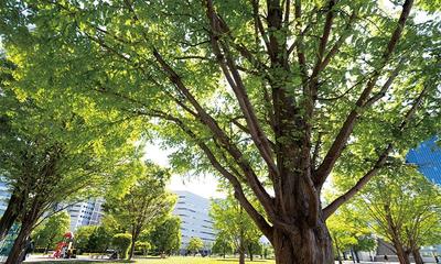 キーワードは「柔軟性」 レジリエントな街づくり