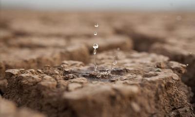食料の輸入は水の輸入と同じ？ バーチャルウオーターから水問題を考える