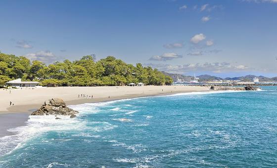 維新の立役者・坂本龍馬を訪ねて 高知 [高知県]
